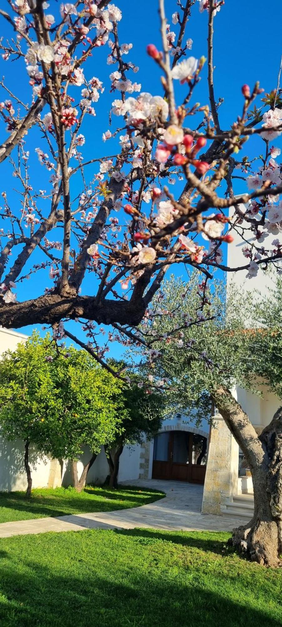 Villa Guajira Bari Bagian luar foto