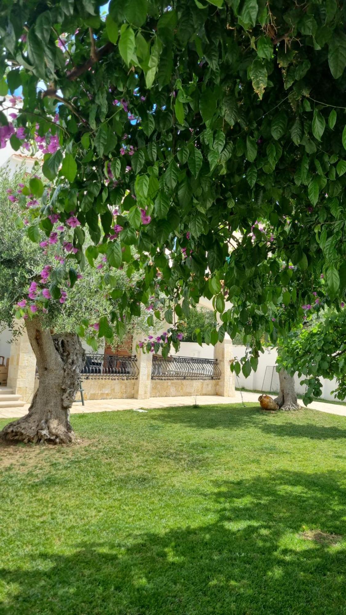 Villa Guajira Bari Bagian luar foto