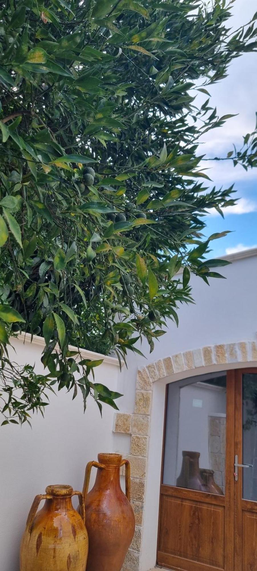 Villa Guajira Bari Bagian luar foto